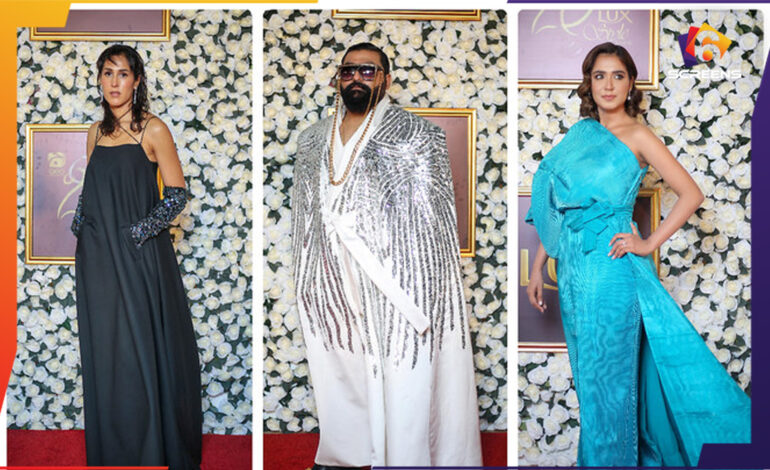 Top Red Carpet Looks from Recent Pakistani Award Shows